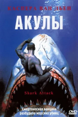 Акулы 